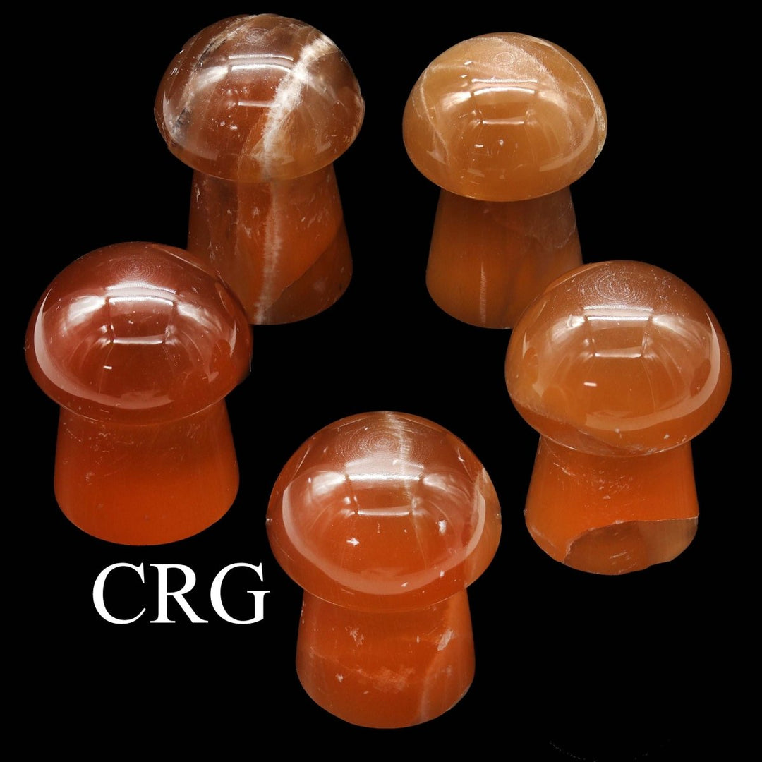 Honey Calcite Mushrooms / 1.5 - 3.5" AVG - 1 KILO LOTCrystal River Gems