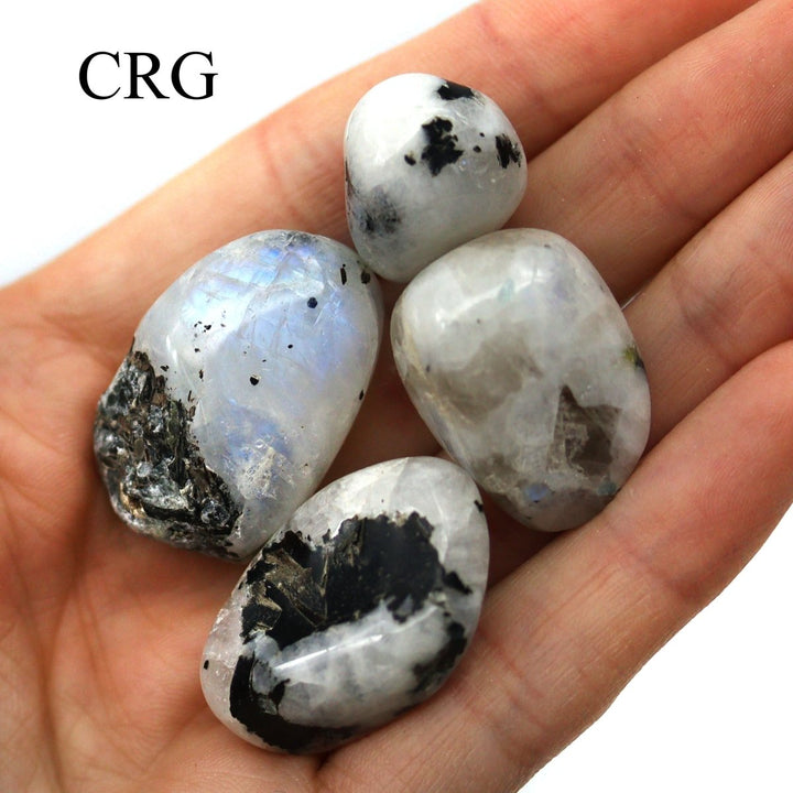 Tumbled Rainbow Moonstone / 20 - 40mm AVG - 1 KILO LOTCrystal River Gems