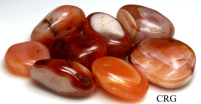 1 LB. LOT - Red Carnelian Agate Tumbled SALE / 26-42mm Avg - Crystal River Gems