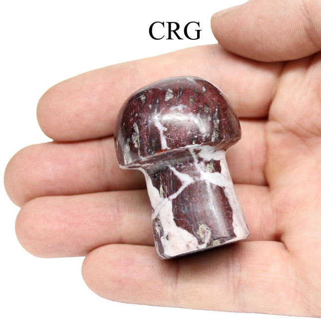 1 KILO LOT - Red Jasper Mushroom / MIXED SIZES - Crystal River Gems
