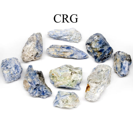 1 KILO LOT - Rough Brazilian Blue Kyanite (3 - 6 CM) AVG - Crystal River Gems