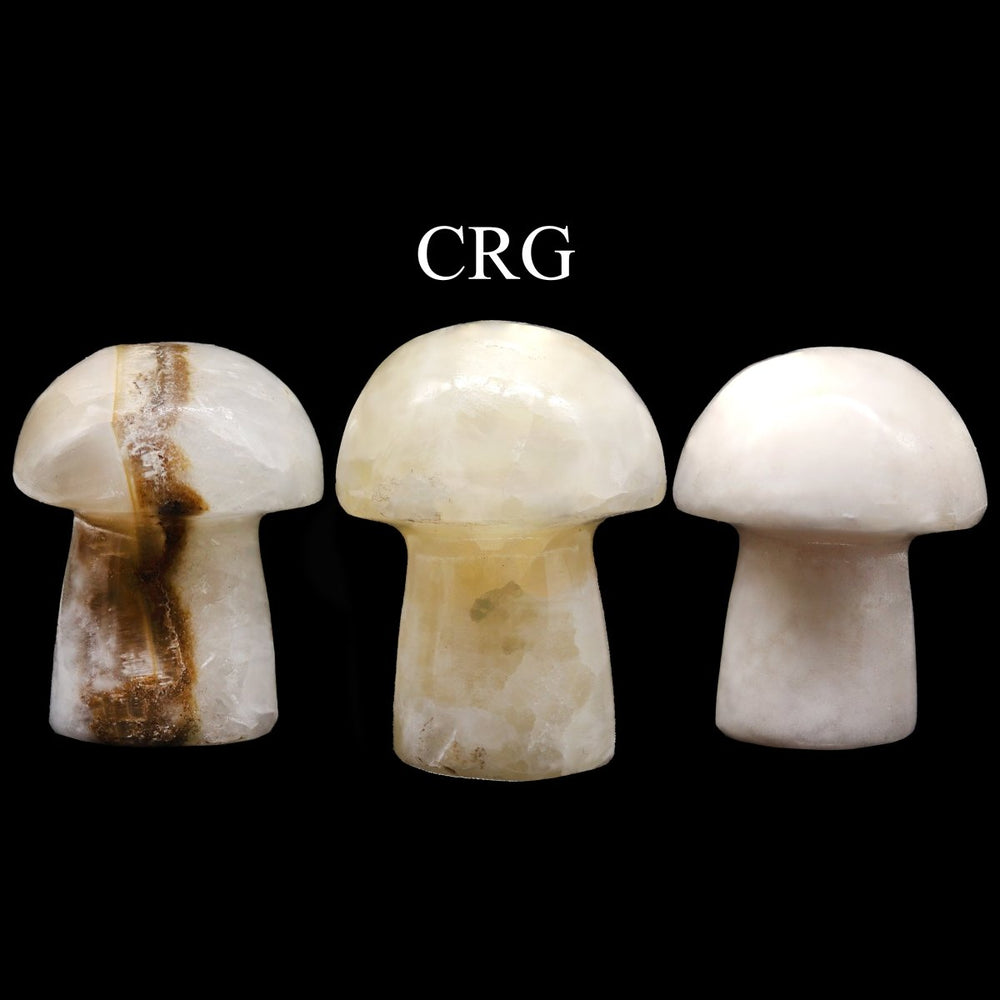 White Calcite Mushrooms / 1.5-3.5" AVG - 1 KILO LOT