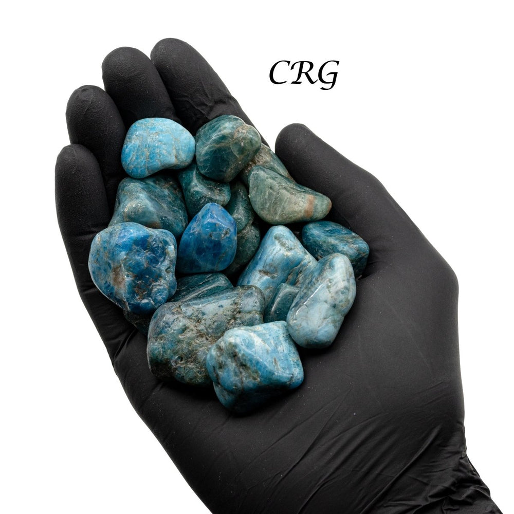 Blue Apatite Tumbled from Madagascar - 1.5" - 2.5" - 1 LB LOTCrystal River Gems