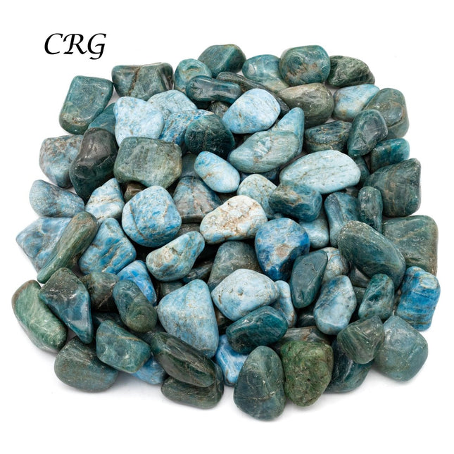 Blue Apatite Tumbled from Madagascar - 1.5"-2.5" - 1 LB LOT - Crystal River Gems