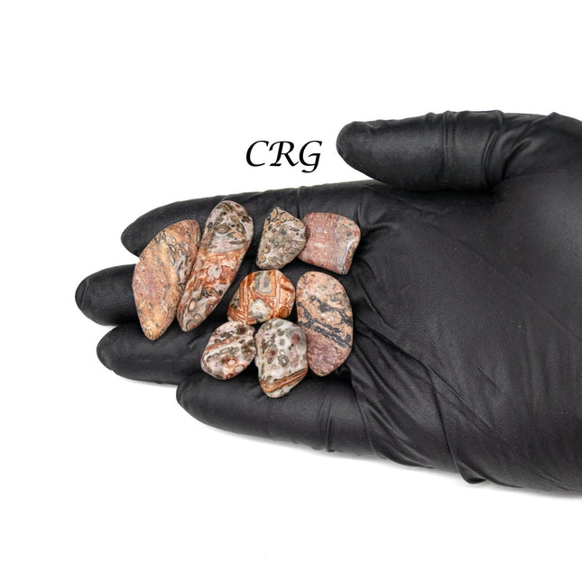 1 LB. LOT - Leopard Skin Jasper Tumbled Gemstones / 1"-2" AVG - Crystal River Gems
