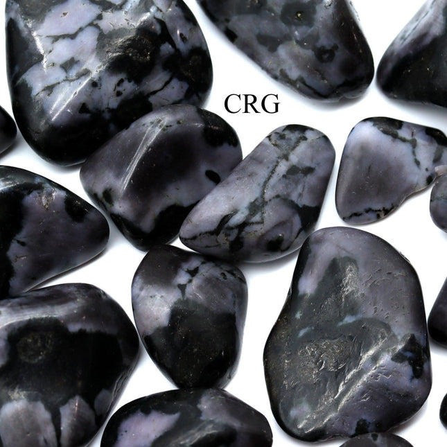 1 LB. LOT - Tumbled Indigo Gabbro from Madagascar / 1"-2" AVG - Crystal River Gems