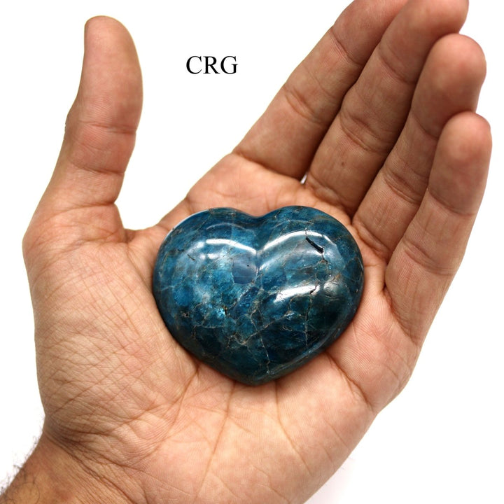 Polished Blue Apatite Heart / 2.5" AVG - QTY 1