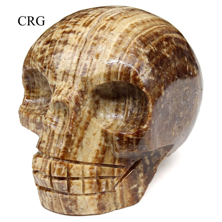 Carved Aragonite Skull / 45-55mm AVG - QTY 1
