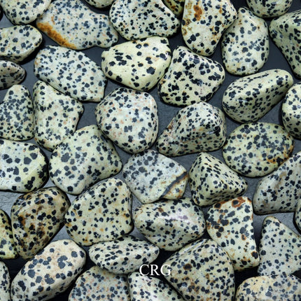 1 PIECE - Dalmatian Jasper 30-60 mm Tumbled Gemstones Wholesale Bulk - Crystal River Gems