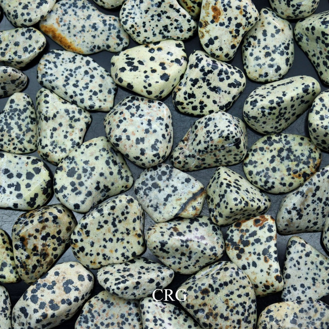 Tumbled Dalmatian Jasper / 30 - 60mm AVG - 1 PIECECrystal River Gems