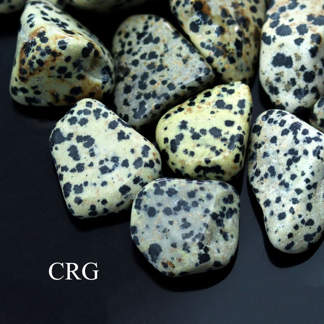 Tumbled Dalmatian Jasper / 30 - 60mm AVG - 1 PIECECrystal River Gems