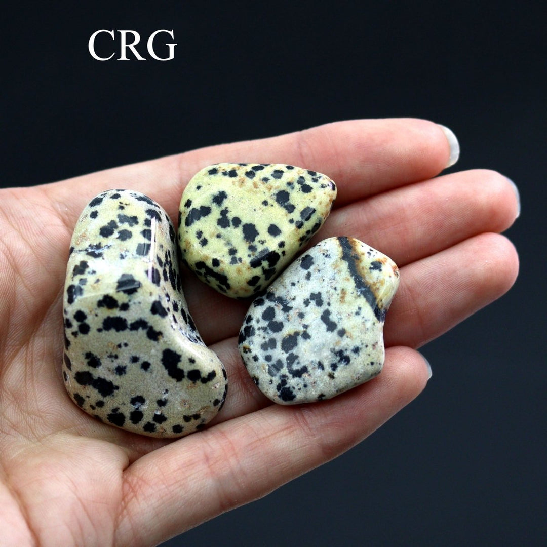 Tumbled Dalmatian Jasper / 30 - 60mm AVG - 1 PIECECrystal River Gems