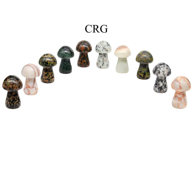 Assorted Gemstone Mushrooms - 1"-2" - 10 PIECE LOT - Crystal River Gems