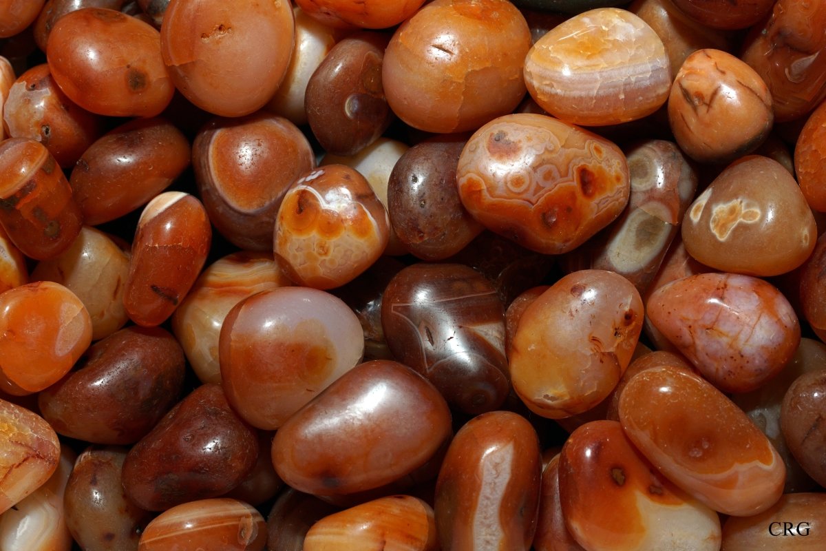 12 KILO LOT CASE Red Carnelian Agate Tumbled India 26 42mm Avg Crystal River Gems