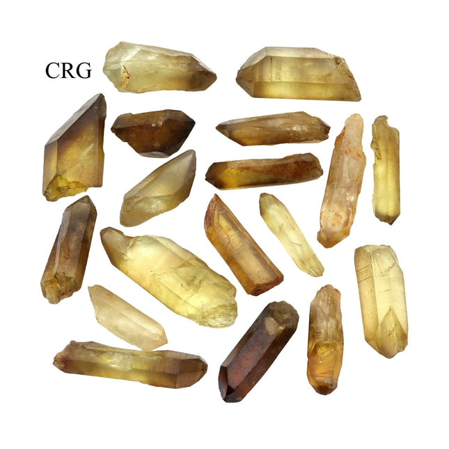150 GRAM LOT - Natural Zambian Citrine Points / 10-45 GRAMS AVG - Crystal River Gems