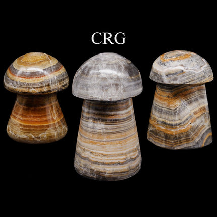 2 KILO LOT - Bumblebee Calcite Mushroom / MIXED SIZES - Crystal River Gems
