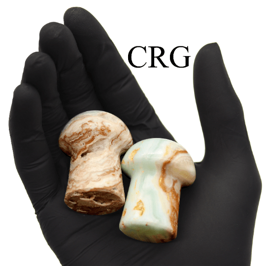 2 KILO LOT - Caribbean Calcite Mushrooms / MIXED SIZES