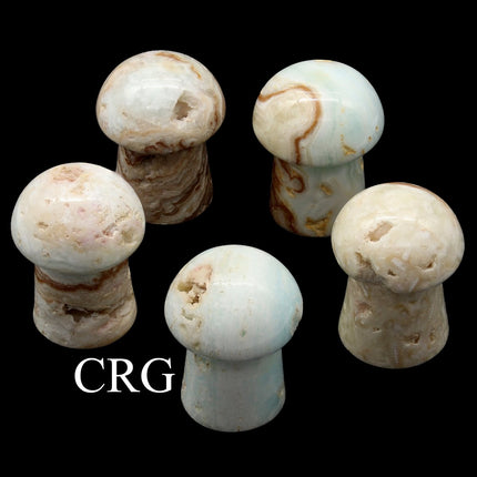 2 KILO LOT - Caribbean Calcite Mushrooms / MIXED SIZES - Crystal River Gems