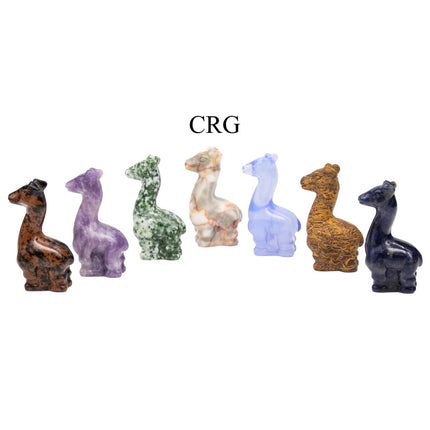 24 Piece Flat - Assorted Gemstone Giraffes / 2" Avg