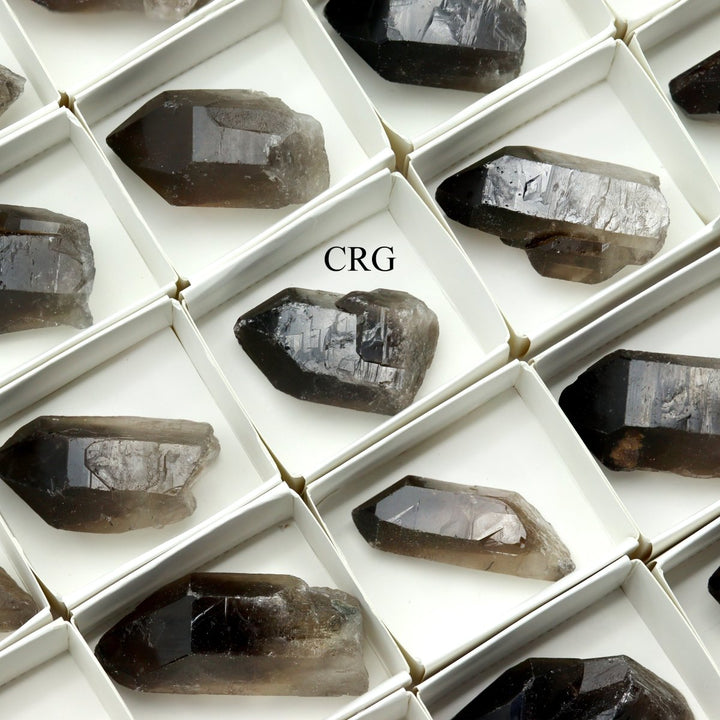 48 Piece Flat - Smoky Quartz PointsCrystal River Gems