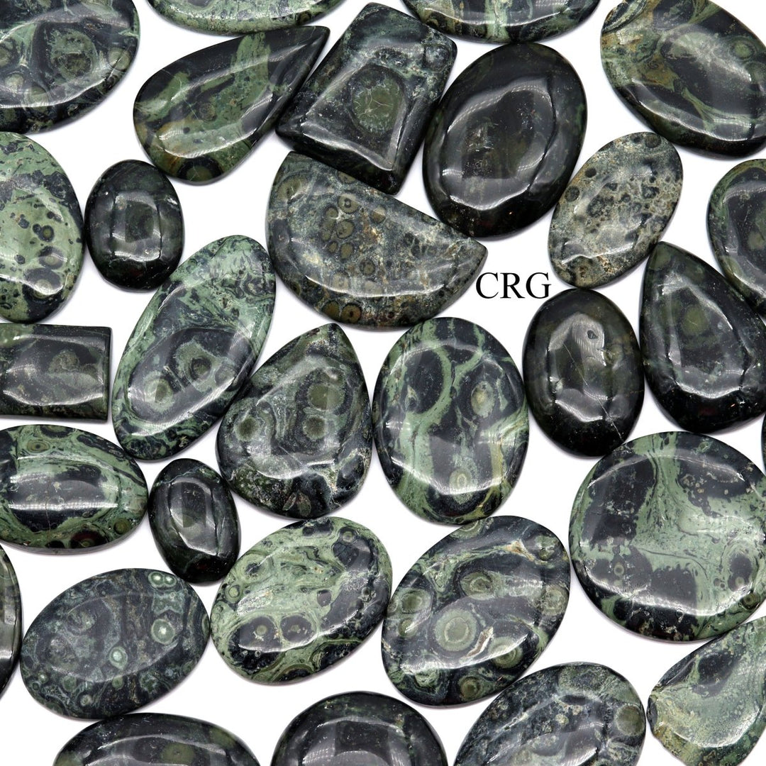 50 GRAM LOT - Kambaba/Crocodile Jasper Cabochons / Mixed SizesCrystal River Gems