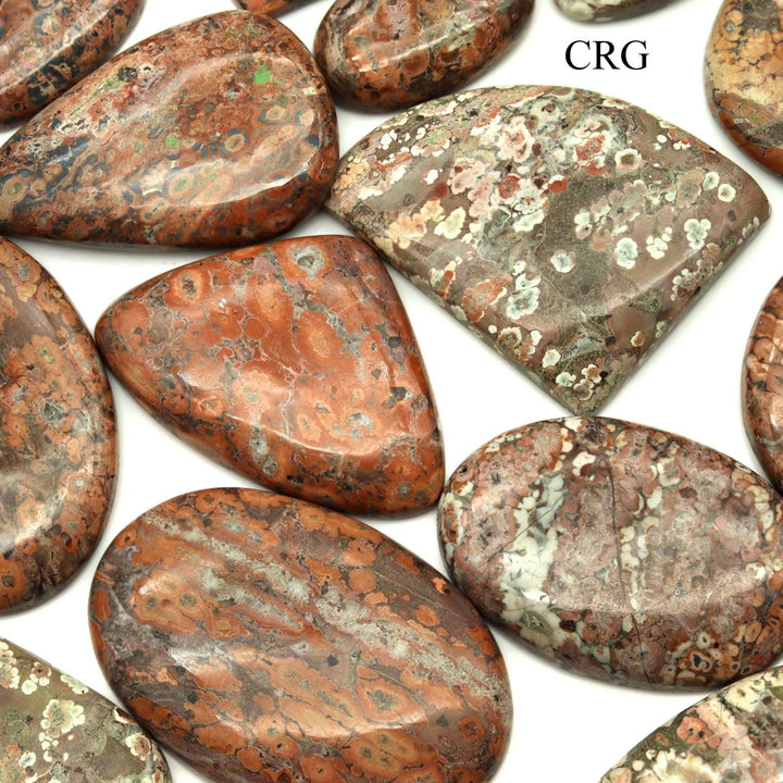 50 GRAM LOT - Leopard Skin Jasper Cabochons / Mixed Sizes