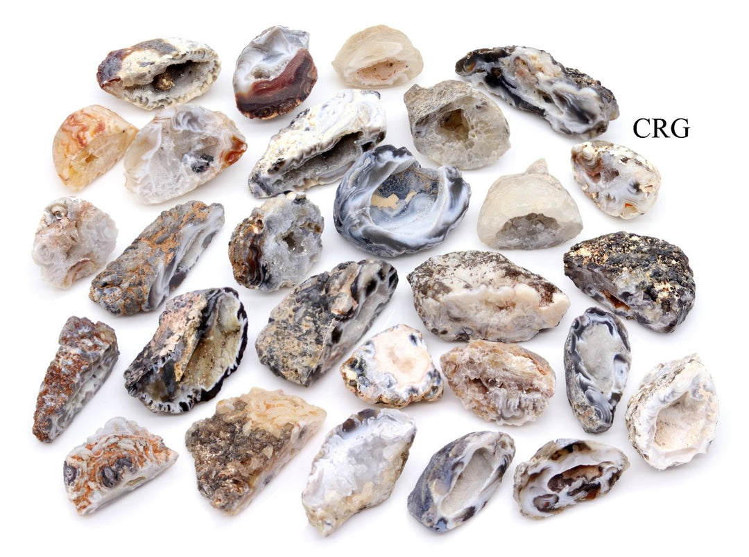 8 OZ LOT - Natural Agate Mini Oco Geodes / .5" - 1" AVERAGECrystal River Gems