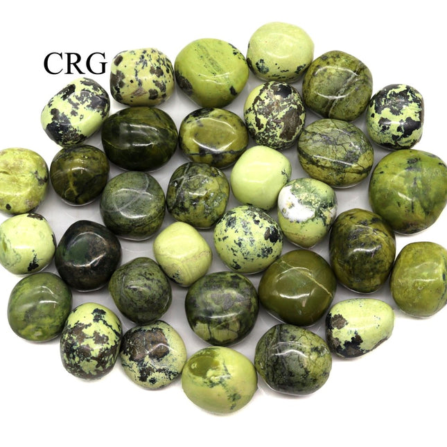 8 OZ LOT - Peru Green Serpentine Tumbled / 25-35 MM AVG - Crystal River Gems