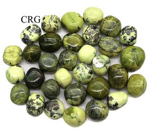 Tumbled Serpentine / 25-35mm AVG - 1 LB. LOT