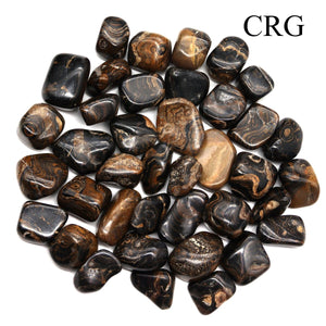 8 OZ. LOT - Peru Stromatolite Tumbled / 20-35 MM AVG