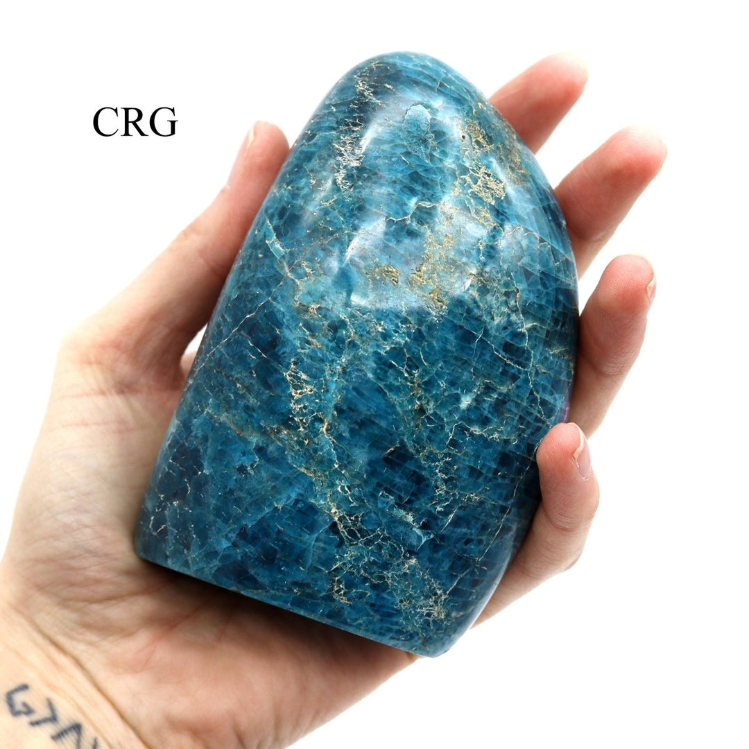 Apatite Boulder from Madagascar / 4" - 5" AVGCrystal River Gems