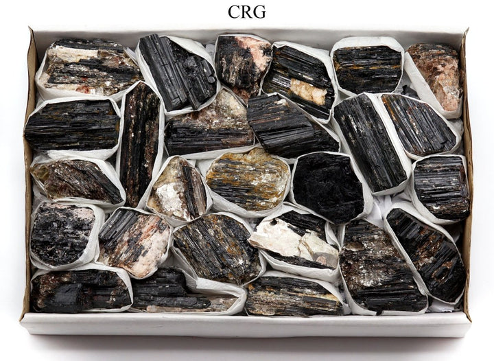 Black Tourmaline Crystals with Mica Inclusions B Grade / Medium Flat