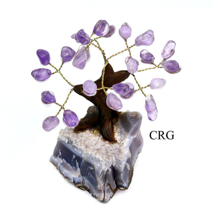 Brazilian Amethyst Bonsai Tree with Crystal Base / SIZE #1 (5.5"-6.5" AVG)