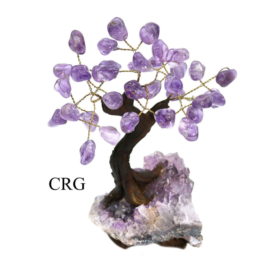Brazilian Amethyst Bonsai Tree with Crystal Base / SIZE #2 (6.5"-7.5" AVG)