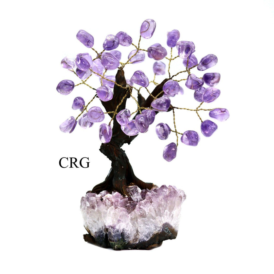 Brazilian Amethyst Bonsai Tree with Crystal Base / SIZE #3 (7.5" - 8" AVG)Crystal River Gems