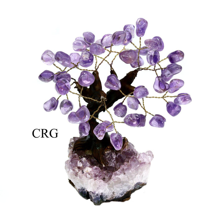 Brazilian Amethyst Bonsai Tree with Crystal Base / SIZE #3 (7.5" - 8" AVG)Crystal River Gems