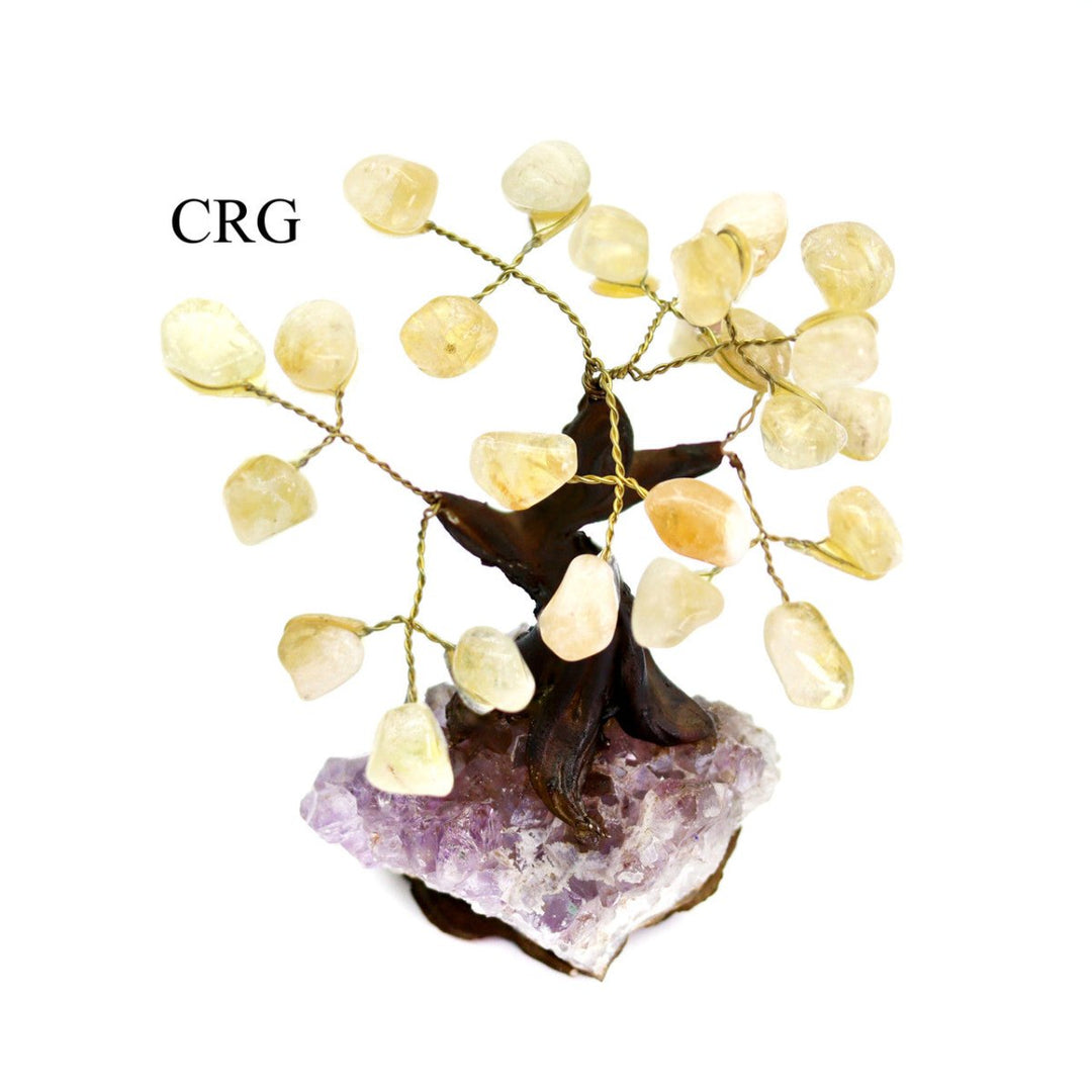 Brazilian Citrine Bonsai Tree with Crystal Base / SIZE #1 (5.5"-6.5" AVG)