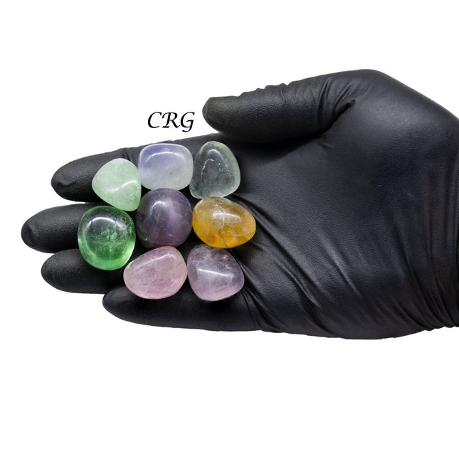 1 LB. Lot. Multicolor Fluorite Tumbled 20 - 40mm - Crystal River Gems