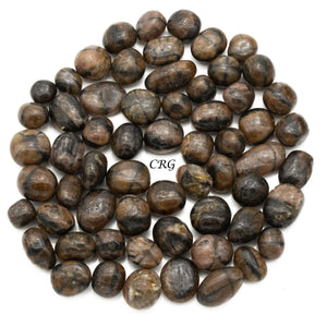 Chiastolite Tumbled 1 Kilo Lot