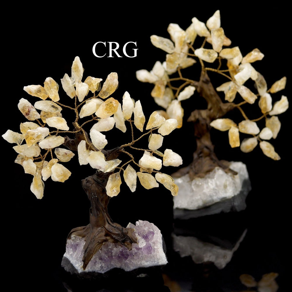 Citrine Tree With Rough Chips On Druzy Base #3 (5.5" - 6.5")