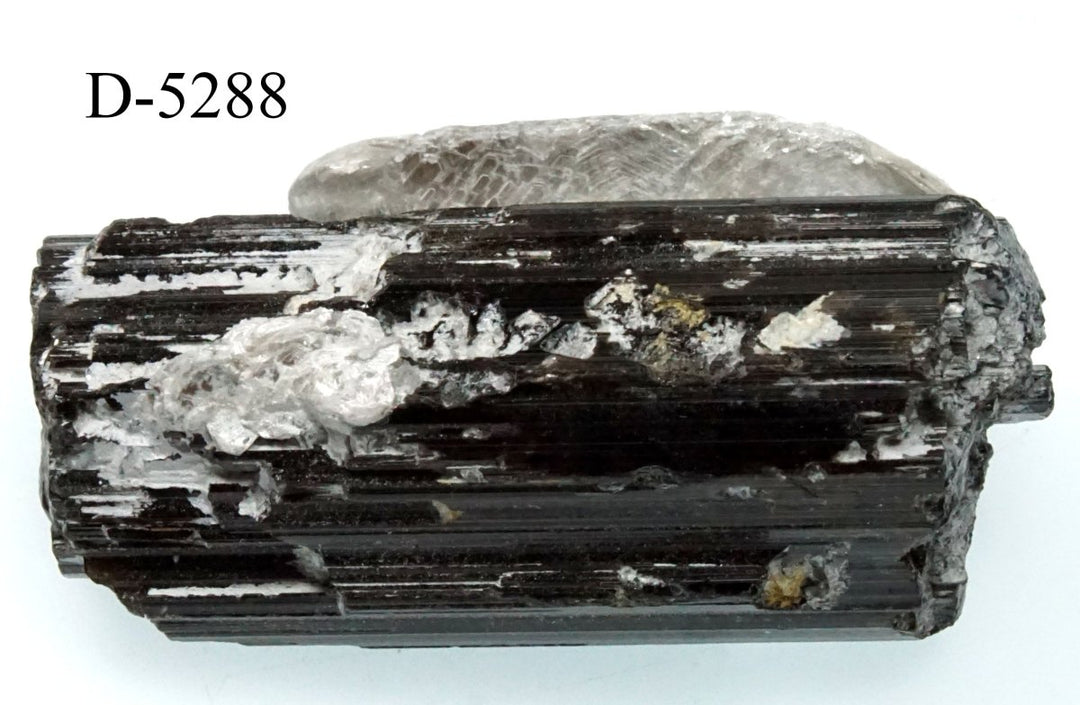 D-5288 Raw Black Tourmaline Crystals 0.6 oz