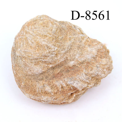 D-8561 Desert Rose Selenite 3.07 oz