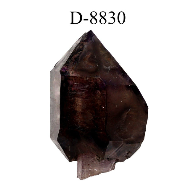 D-8830 Smoky Quartz Amethyst Scepter from Zambia 78 g - Crystal River Gems