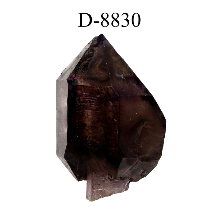 D - 8830 Smoky Quartz Amethyst Scepter from Zambia 78 gCrystal River Gems