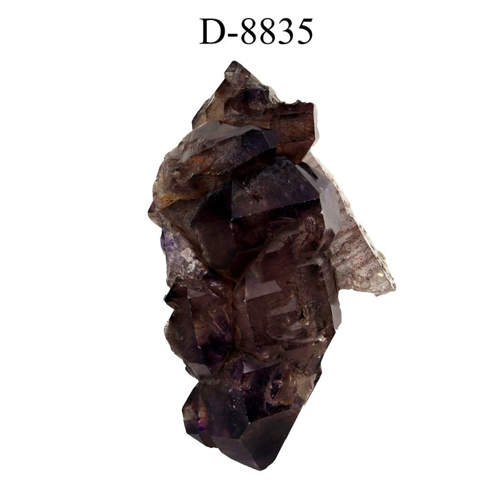 D - 8835 Smoky Quartz Amethyst Scepter from Zambia 106 gCrystal River Gems