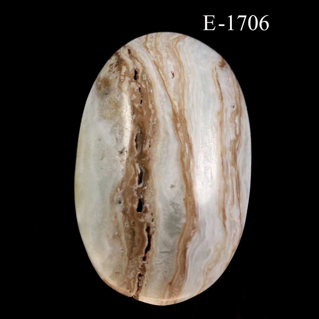 E-1706 Polished Caribbean Calcite Palm Stone - 4.9oz.