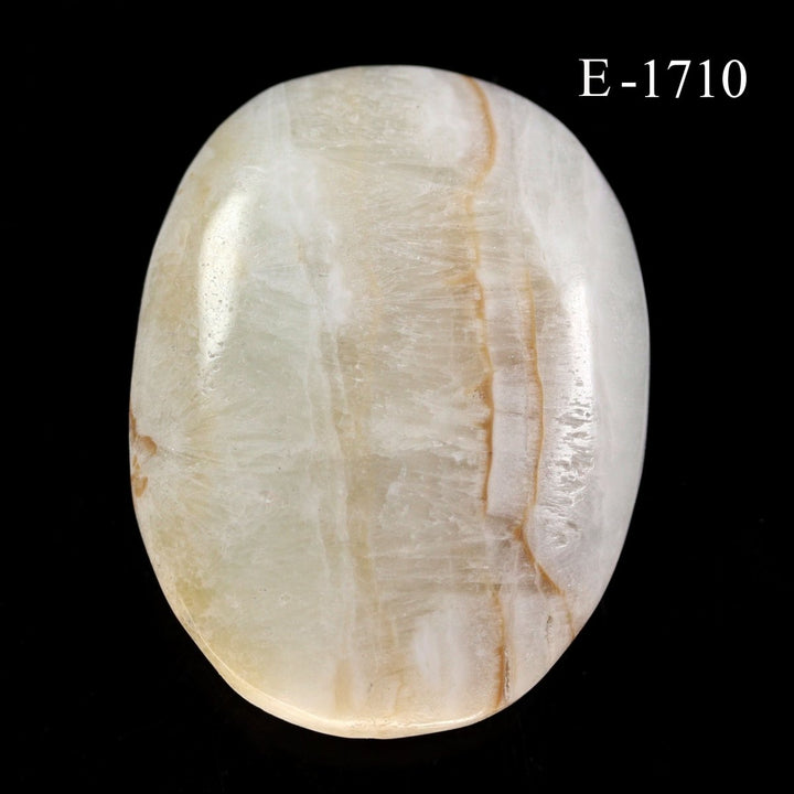 E - 1710 Polished Caribbean Calcite Palm Stone - 4.7oz.Crystal River Gems