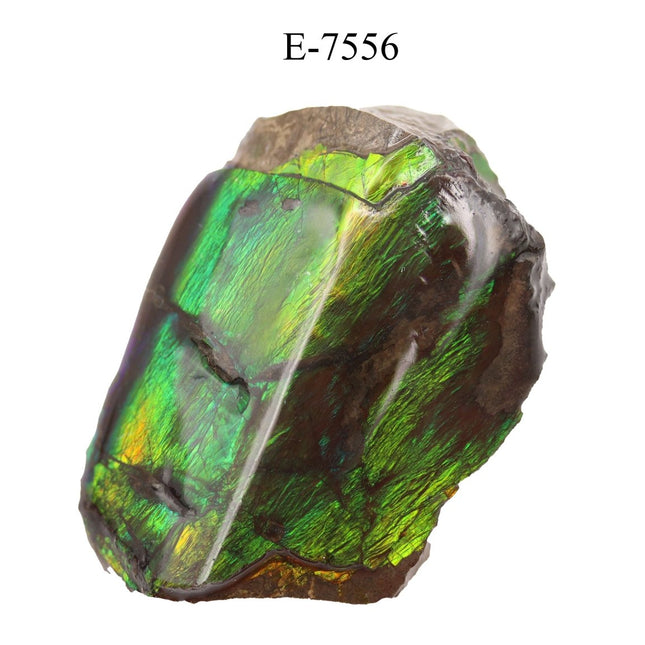 E-7556 Polished Fire Ammolite - 13.8 g - Crystal River Gems