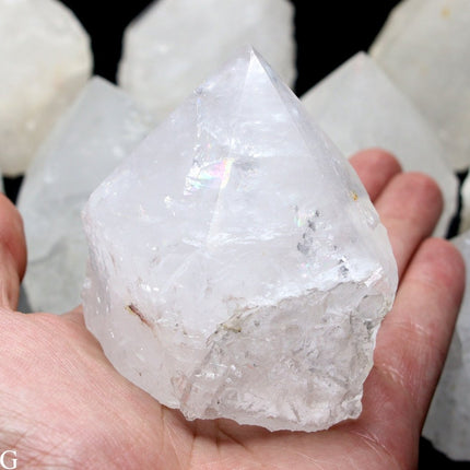 3 KILO LOT - Top Polished Crystal Quartz Points with Cut Base / 3-4" AVG - Crystal River Gems