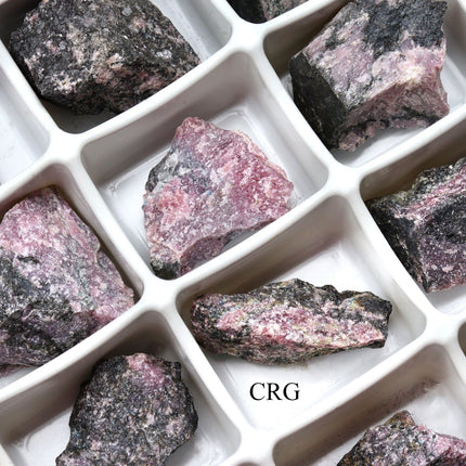 24 PIECES - Rough Rhodonite Wholesale Flat / 1-1.5" AVG - Crystal River Gems